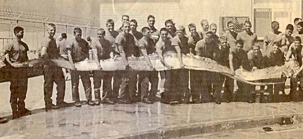 oarfish japan,omen,oarfish